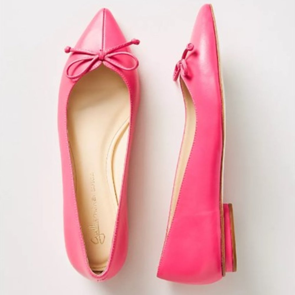 NIB-Anthropologie-Maeve Pointed-Toe Ballet Flat - Pink - 39